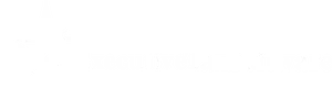 Executive Tax Software